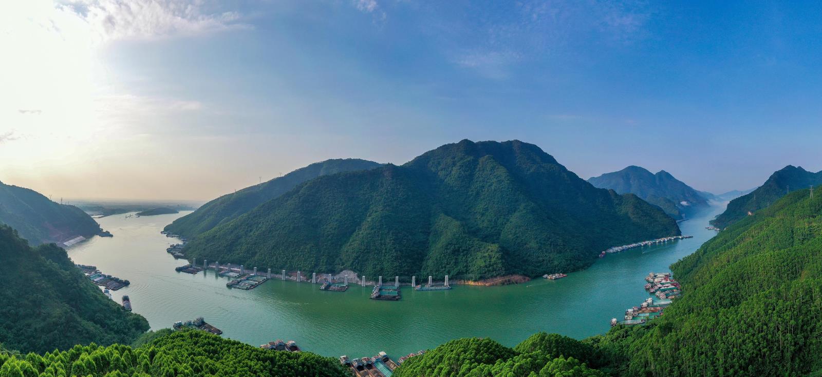 区域公司